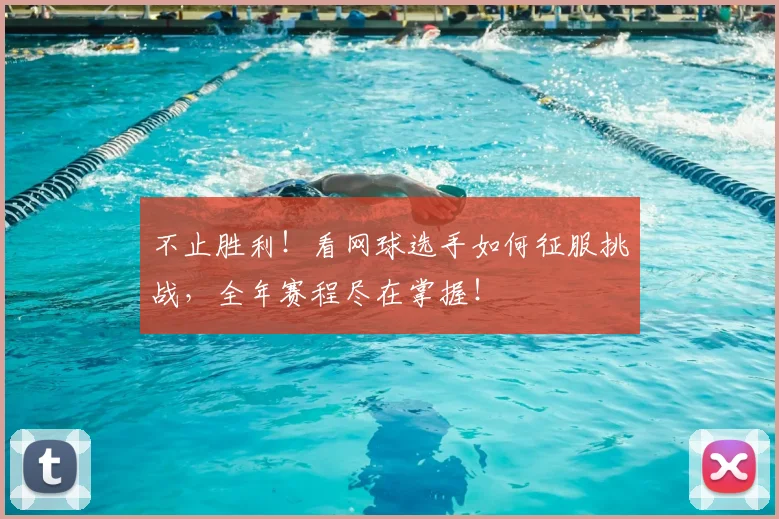 不止胜利！看网球选手如何征服挑战，全年赛程尽在掌握！